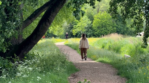Wandelpad langs de Vaart niet toegankelijk in rolstoel: ‘Banden zakken weg’