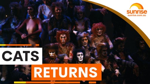 Meow! Cats is back, and the stars are revealed on Sunrise