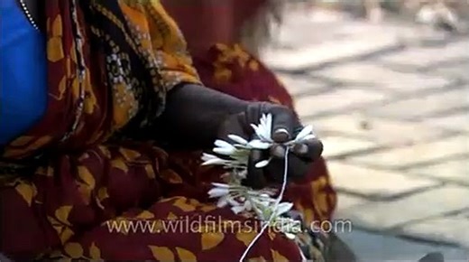 South Indian woman making Gajra (flower garland)