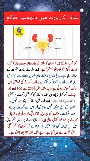 Human urinary Bladder: The Incredible Storage System! | Amazing Science #Shorts #science #facts