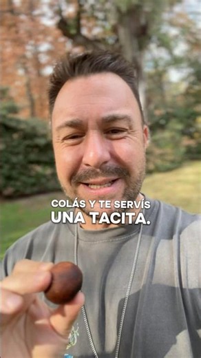 🍃 TÉ DE PEPA DE PALTA (AGUACATE) 🍃 #disrupercepcion #marcelodisanto