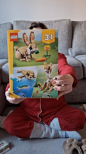 Bunny Themed Gifts I Got for Christmas #bunny #rabbit #freeroamrabbit #shorts #shortsfeed