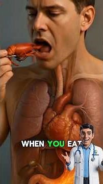 This Is What Lobster Does Inside You 😳🦞 #anatox #usa #uk #education #educational #science #uk #facts