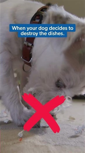 Order Express Delivery to save your party just in time for the Big Game! Terms & fees apply.