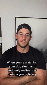 Can’t help but stare #dog #funnydogs #puppies #malamute #dogs #malamutes | Hugo The Malamute