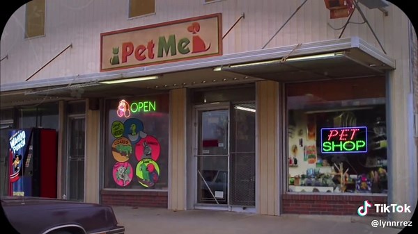 Discovering Iconic Locations in Swellview