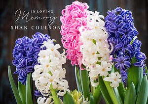 Shan Coulson - Funeral Service Live Stream