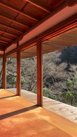 【公式】世界遺産 高山寺 Kosanji Temple on Instagram: "2026.1.1 新年を迎えた山内に清々しい朝日が降り注いでいます。 本年もどうぞよろしくお願いいたします。 #京都 #京都高雄 #栂尾 #高山寺 #鎌倉時代 #明恵上人 #国宝 #世界遺産 #世界文化遺産 #学問寺 #石水院 #鳥獣戯画 #茶の発祥地 #日本茶 #宇治茶 #茶園 #苔の名所 #もみじの名所 #紅葉の名所"