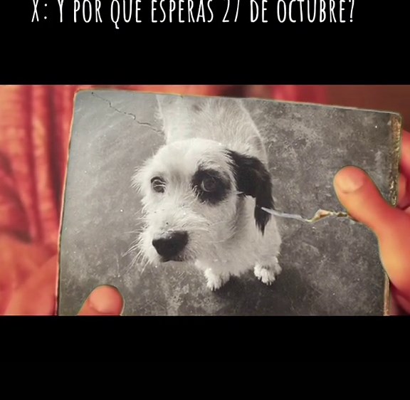 SHARISSpoves on TikTok