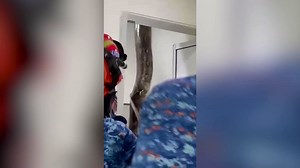 Un python réticulé de 5 mètres tombe dans une salle de bain en Malaisie