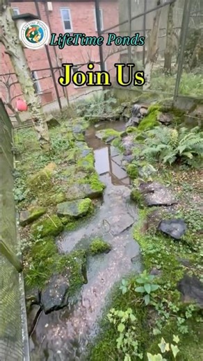 “50ft Pondless Waterfall Build 😳 6 Levels of Flow!”