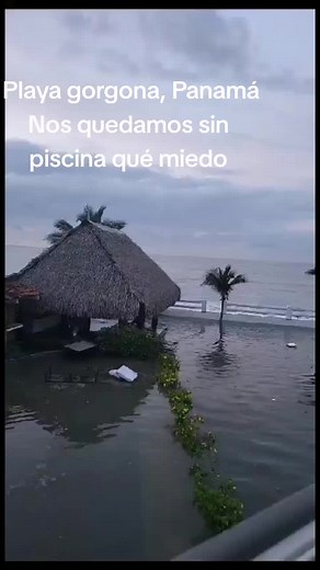 Línea salvaje on TikTok