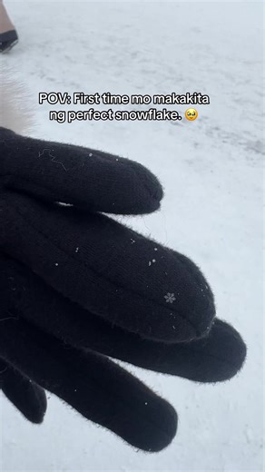 Experience the Beauty of Perfect Snowflakes in Sapporo