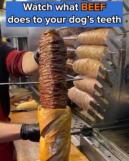 🐾 Chuck Norris Has the Answer for Healthier, Happier Dogs 🐾 When legendary action star and proud patriot Chuck Norris lost 3 beloved dogs to cancer before the age of 9, he knew something wasn’t right. Determined to uncover the truth behind the epidemic sweeping across pets in America, Chuck dug deep — and what he discovered changed everything. Today, even his senior dogs are full of energy, moving with ease, and playing like puppies again... all thanks to a simple addition to their bowls: “Pow