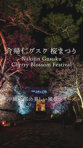 ワンスイート ザ・グランド/古宇利島/ホテル on Instagram: "#沖縄北部の美しい風景 シリーズ⑤ 世界遺産 今帰仁城跡｜今帰仁村今泊 World Heritage Site Nakijin Gusuku｜Nakijin 今年も今帰仁グスク桜まつりが開催されます。 映像は昨年の桜まつりの様子です。 今帰仁城跡が夜間ライトアップされるのはこの桜まつりの期間限定。この機会にぜひ足をお運びください🌸 第19回 今帰仁グスク桜まつり 期間：2026年1月31日（土）~2月8日（日） 場所：世界遺産 今帰仁城跡 @nakijinjoseki_osi 時間：8:00~21:00（ライトアップ18:00~21:00） 最終入場：20:30 The Nakijin Gusuku Cherry Blossom Festival will be held again this year.The nighttime illumination of Nakijin Gusuku is only available during this festival period.Please take t