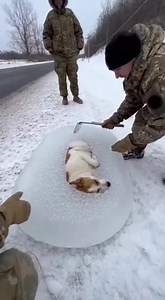 “2–3 brave men, hard frozen snow, and one innocent life — watch how the rescue happened 💙” | Ice Rescue Moments