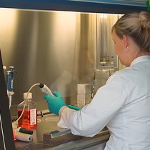 Video: Measuring Composition of CD95 Death-Inducing Signaling Complex and Processing of Procaspase-8 in this Complex