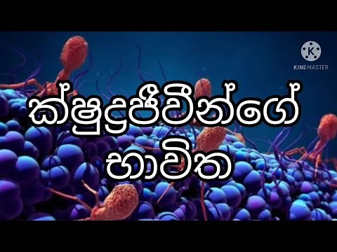 Grade 9 science first lesson in sinhala medium full lesson: ක්ෂුද්‍ර ජීවීන්ගේ භාවිත
