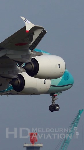 ANA Airbus A380 Landing at Tokyo Narita Airport 🇯🇵 ✈️ —————————————————————- #planespotting #planespotter #avgeek #aviation #aviationdaily #aviationlovers #airplane #airplanes #a380 #airplane_pics #airplane_lovers #airplanespotting #airplanepictures #airplanelovers101 #airplanelovers #instaplanes #instaairplane #aviationgeek | HD Melbourne Aviation