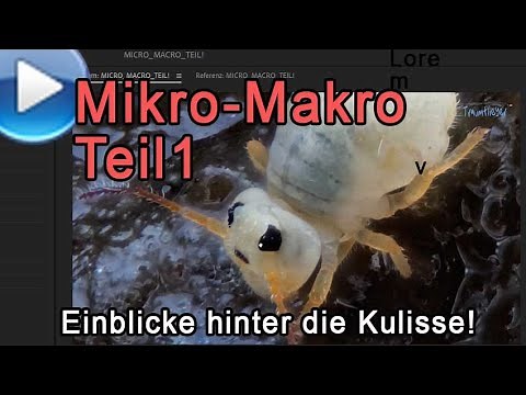 Mikro-Makro, Teil 1: Extreme Einblicke hinter die Kulissen!
