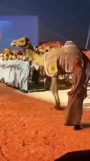 Obus Mon (@obus.mon38)’s videos with original sound - Obus Mon