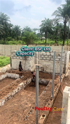 This is a 3,600-capacity poultry farm designed and constructed for our valued client in Abia State, Eastern Nigeria, West Africa. We design, construct, and equip modern poultry farms for individual investors, commercial farmers, cooperative societies, financial institutions, NGOs, and government agencies. Our services cover comprehensive farm layout design, civil and structural works, equipment supply and installation, and full operational commissioning. Beyond construction, we provide structure
