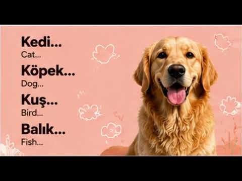 1. Learn Turkish with Songs #001 | Animals | Easy Turkish Vocabulary (A1)