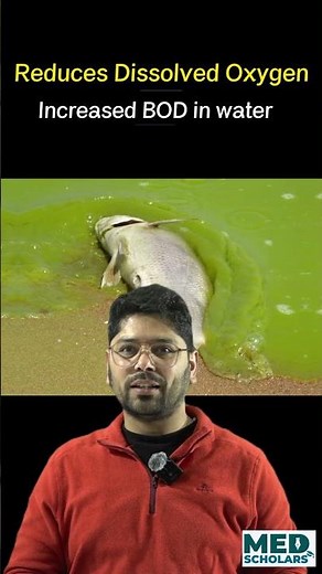 🌱 Eutrophication Explained: Protecting Water, Preserving Life! 💧 #neet #pantnagaruniversity #biology