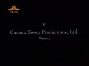 Итальянские любовники (1996)