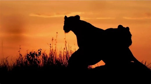 Mutual of Omaha TV Spot, 'Voices of the Wild'