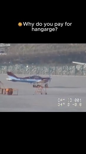 Be free little bird! #flyredbaron #bird #windy #aviationeverywhere #aviationtopia #aviationspotters #aviationhistory #aviationphotographer #aviationnerd #aviationpictures #aviations #aviationnation #aviationspotting #aviationart #aviationaddict #aviationnews #aviationmemes #aviationvideo #aviationindustry #aeroplanelovers #aeroplanes #pilotslife #pilotview #pilotseason #pilotgopro #pilotsviews #piloting #pilotjob #pilotschool | Red Baron