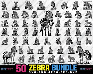 Zebra Clipart Bundle, Zoo Animal Vector Graphics (svg, Png, Jpg, Eps, Dxf) - Etsy