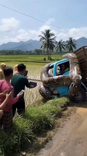 1.6M views · 4.5K reactions | Eksistensi Warga Kampung Sora Yang Hanya Merekam Saja  #snake #sora #lol | Kaizen Mansa | Facebook