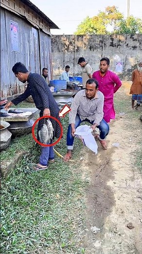 Unexpected Twist in Fish Market | Funny Prank Video 🤣