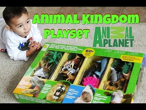 🐟 Animal Planet - video for Kids, Safari, Dinosaurs, Farm, zoo