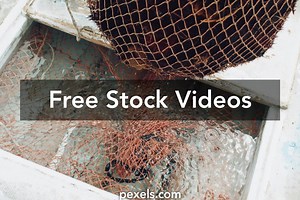 Full Net Videos, Download The BEST Free 4k Stock Video Footage & Full Net HD Video Clips