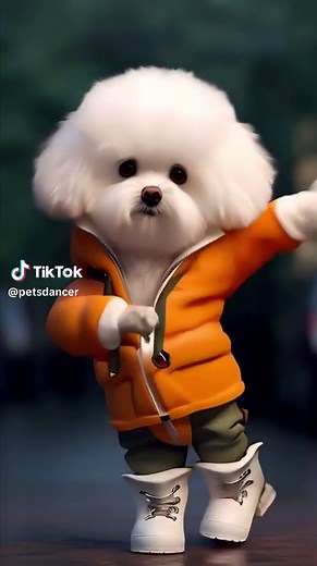 Pet dance trên TikTok