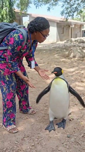 when you begin to question some things around you, even your thoughts