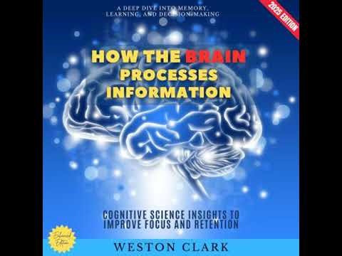 How the Brain Processes Information:: A Deep Dive into Memory, Learning, and Decision-Making