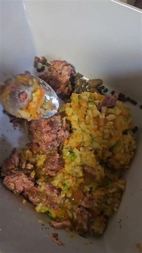 I cook for my dogs 🐶🥕 | Simple & natural dog food