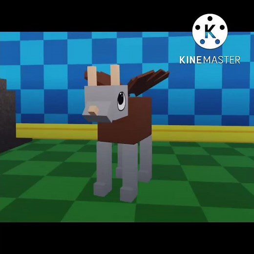 BOOM BOOM dance! Wobble dogs