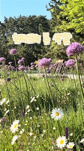 봄이 가장 오래 머무르는 곳🌷