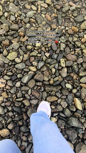 Remembering Our Sweet Motmot: A Tribute to an Angel