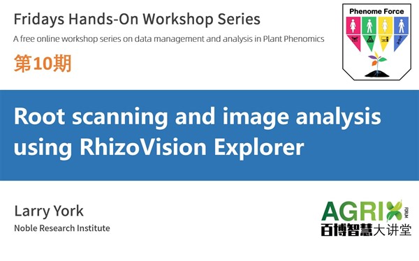 Root scanning and image analysis using RhizoVision Explorer