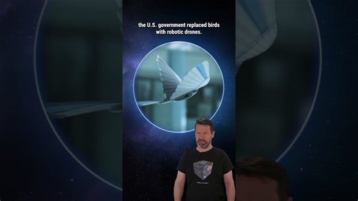 What if birds were actually government surveillance drones?