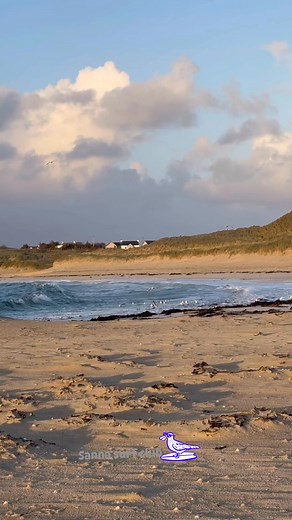 6.7K views · 311 reactions | Sunday at Sanna  https://www.sona.scot/products/sanna-bay-surf-club-bubble-pink #christmasgifts #ardnamurchan #argyll #scottishhighlands | Ardnamurchan - The Real Wild West | Facebook