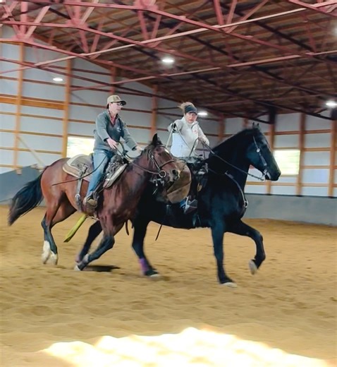 #coltstarting | CCLR - Christene’s Center Line Riders - LLC