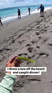This fish was delicious! #fishing #fishinglife #surffishing #florida #snook #beach #beachfishing #beachbum | Bama Beach Bum
