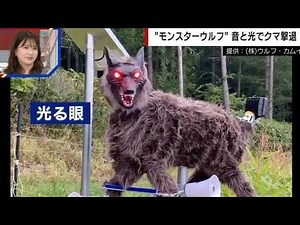 「クマ撃退の切り札！光と音で威嚇する“モンスターウルフ”が注目」