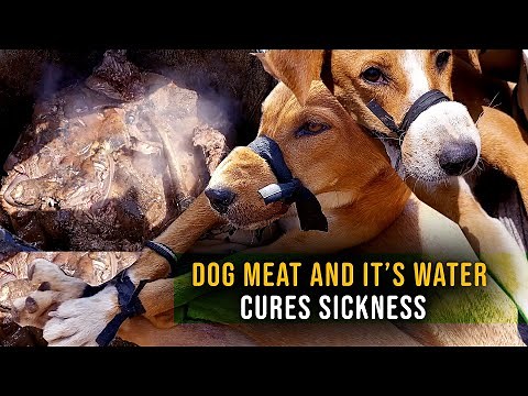 SHOCKING: Dog Meat Cures sicknesses | Watch the preparation. #dogs